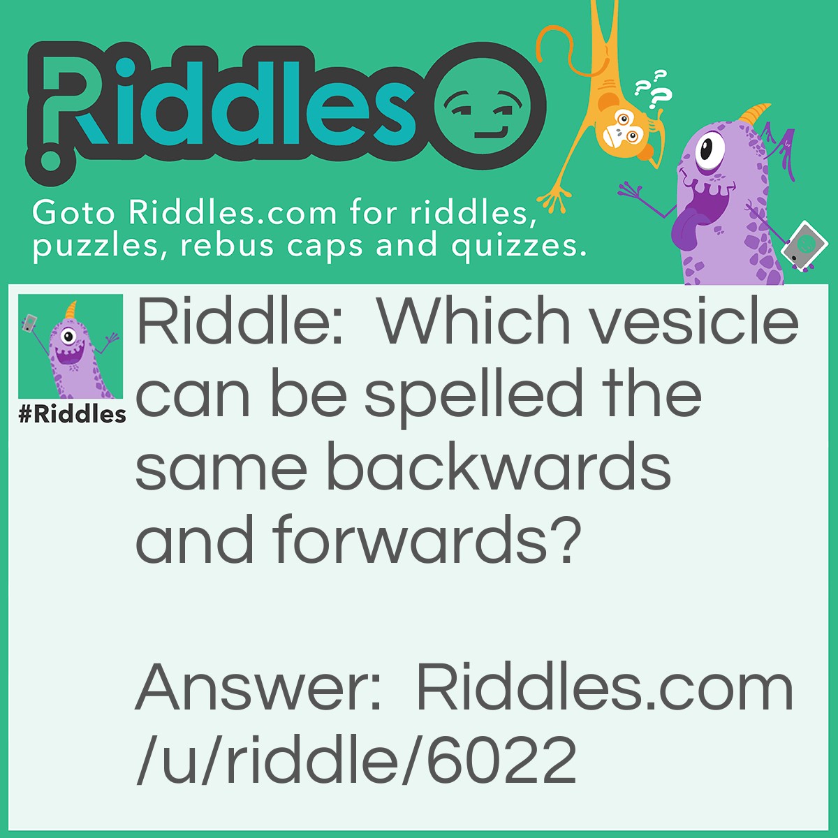 Riddle: Which vehicle can be spelled the same backwards and forwards? Answer: Racecar.