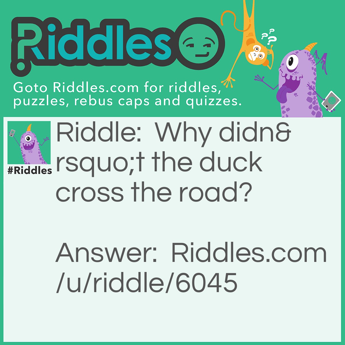 Riddle: Why didn't the duck cross the road? Answer: Because he was in New York (New York has lots of cars and not safe to cross the street there)