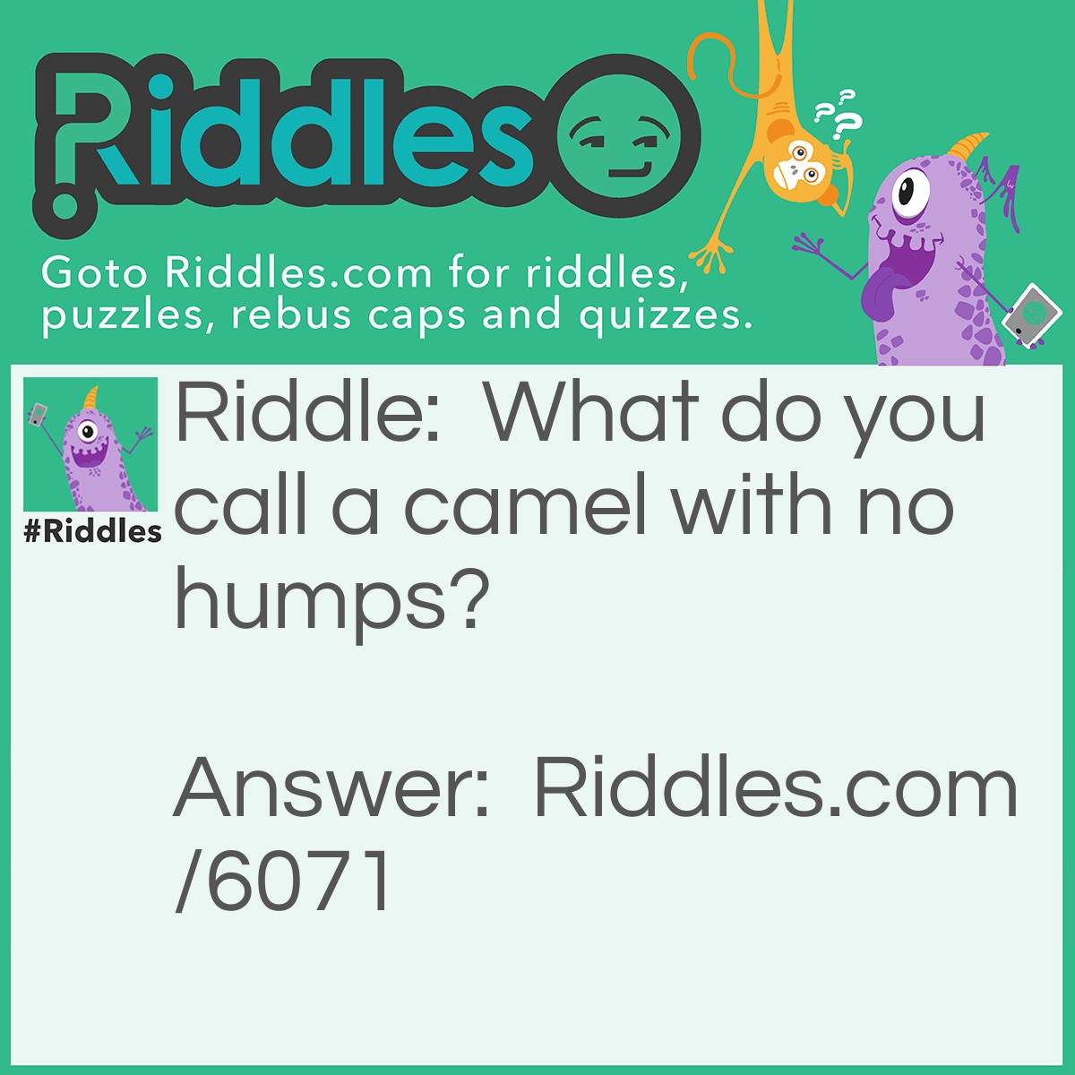 Riddle: What do you call a camel with no humps? Answer: Humphrey.