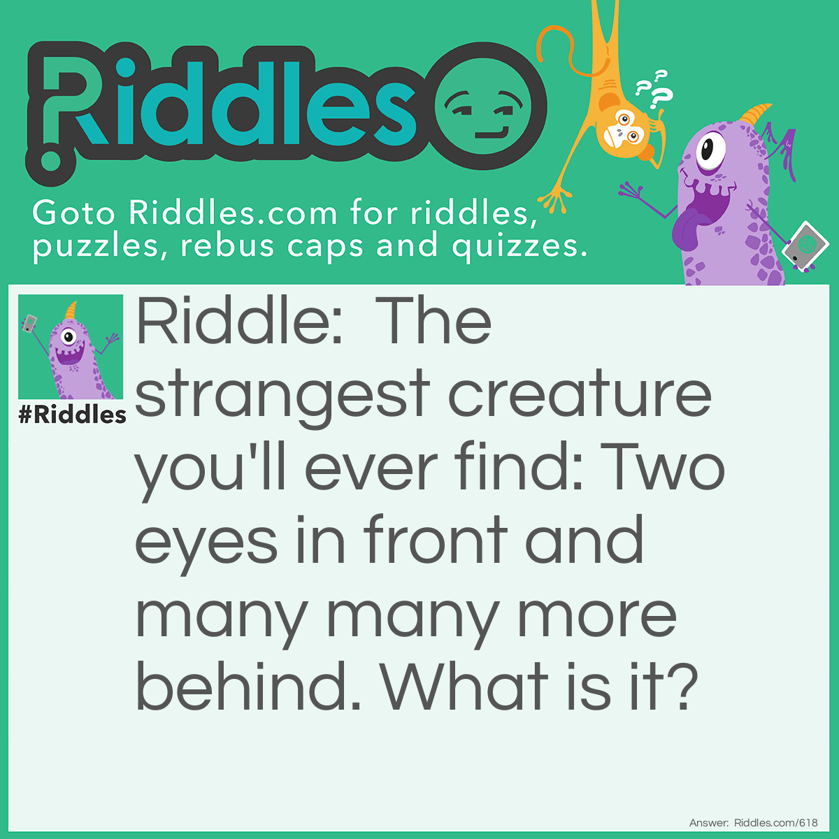 Riddle: The strangest creature you'll ever find: Two eyes in front and many many more behind. What is it? Answer: A Peacock.