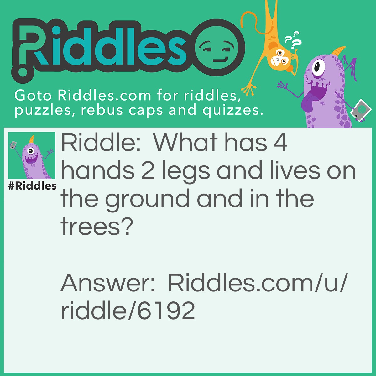 Riddle: What has 4 hands 2 legs and lives on the ground and in the trees? Answer: Monkey.