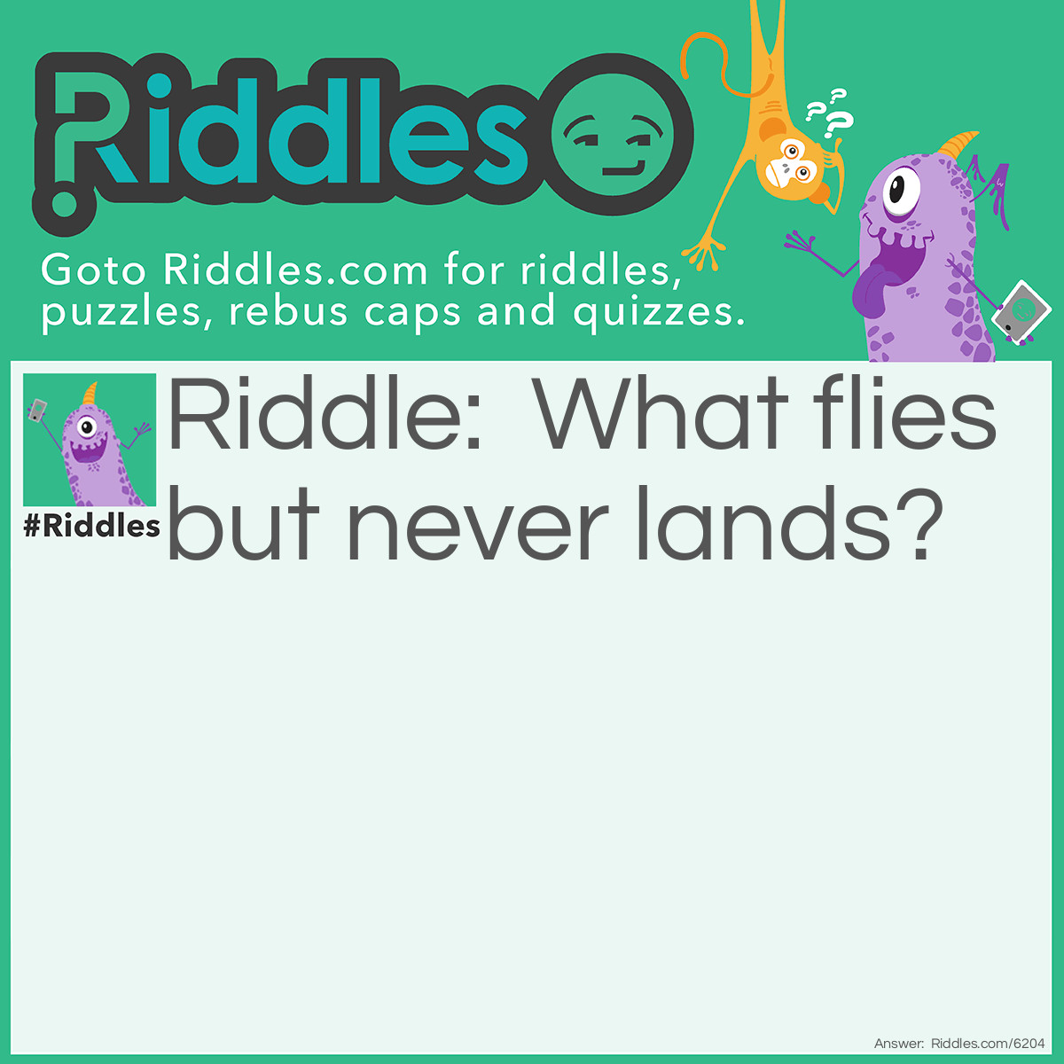 Riddle: What flies but never lands? Answer: Time.