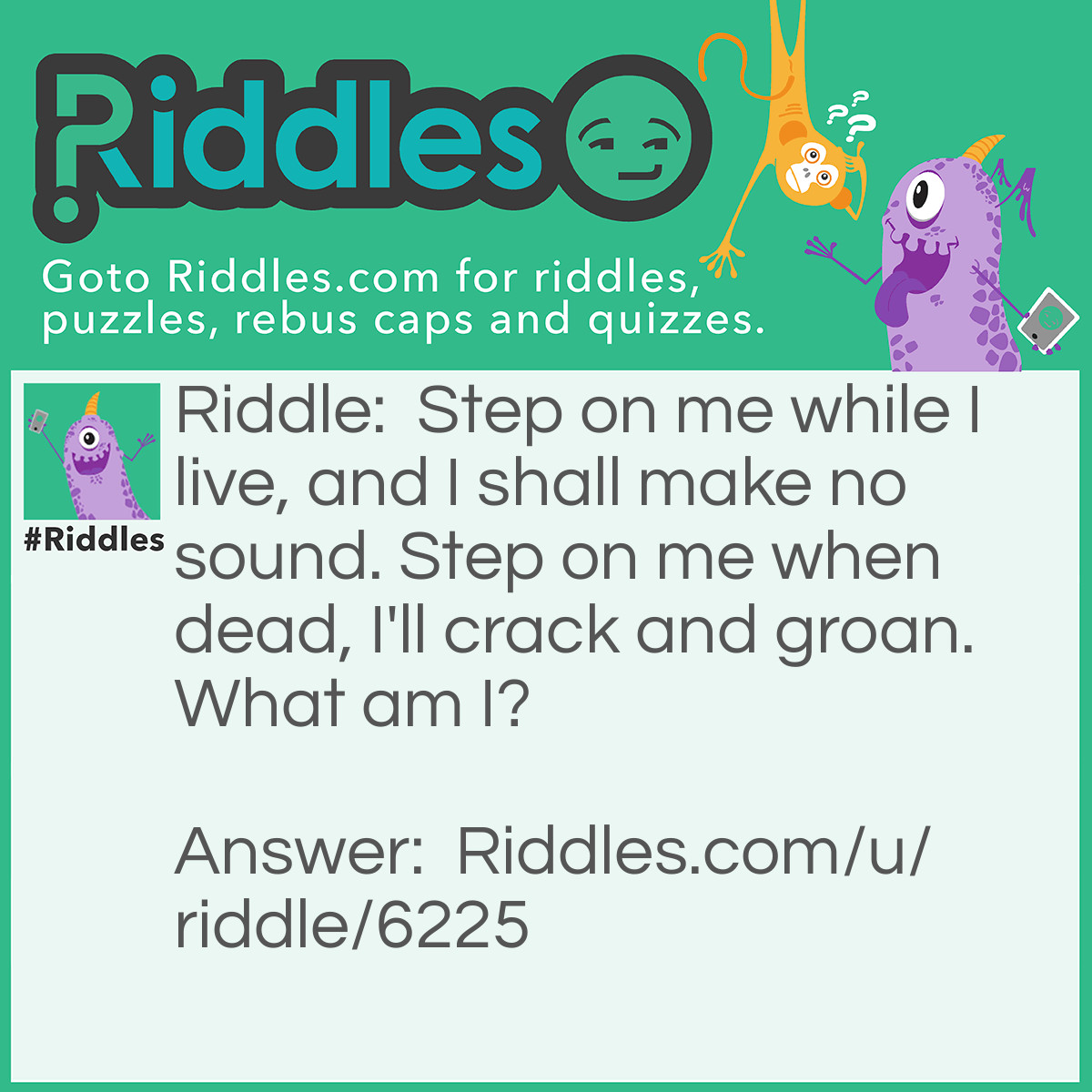 Riddle: Step on me while I live, and I shall make no sound. Step on me when dead, I'll crack and groan. What am I? Answer: A leaf.