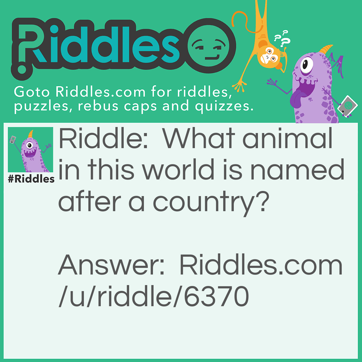 Riddle: What animal in this world is named after a country? Answer: Turkey.