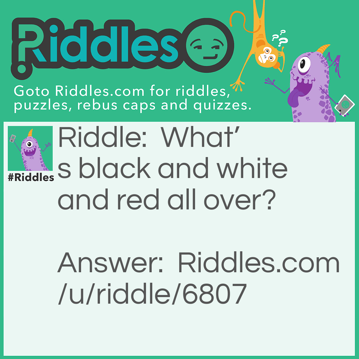 Riddle: What's black and white and red all over? Answer: A zebra with a sunburn.