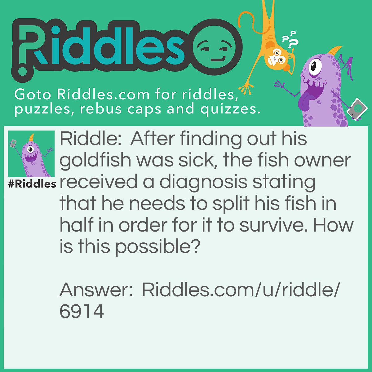 Riddle: After finding out his goldfish was sick, the fish owner received a diagnosis stating that he needs to split his fish in half in order for it to survive. How is this possible? Answer: There was too many goldfish in the fish bowl, making it very cramped; therefore the owner had to put half of all the goldfish in one fish bowl and the other half in another fish bowl. This gives the fish enough space to breathe and swim in the water.