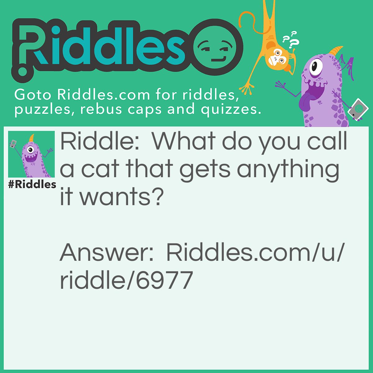 Riddle: What do you call a cat that gets anything it wants? Answer: Purr-suasive