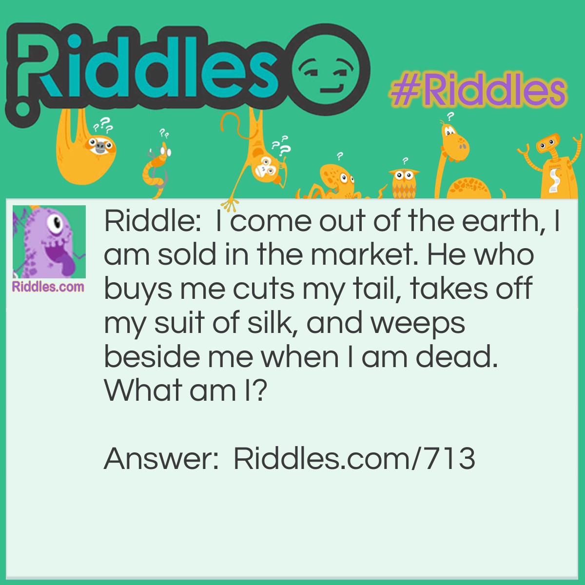 Riddle: I come out of the earth, I am sold in the market. He who buys me cuts my tail, takes off my suit of silk, and weeps beside me when I am dead.
What am I? Answer: I am an Onion.