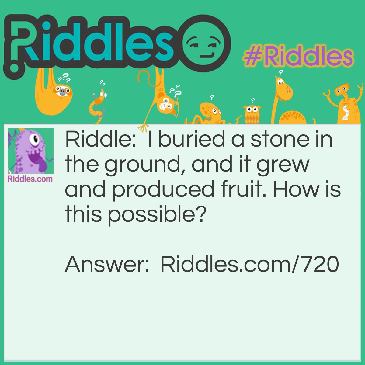 Riddle: I buried a stone in the ground, and it grew and produced fruit. How is this possible? Answer: The seed of a cherry is called a stone.