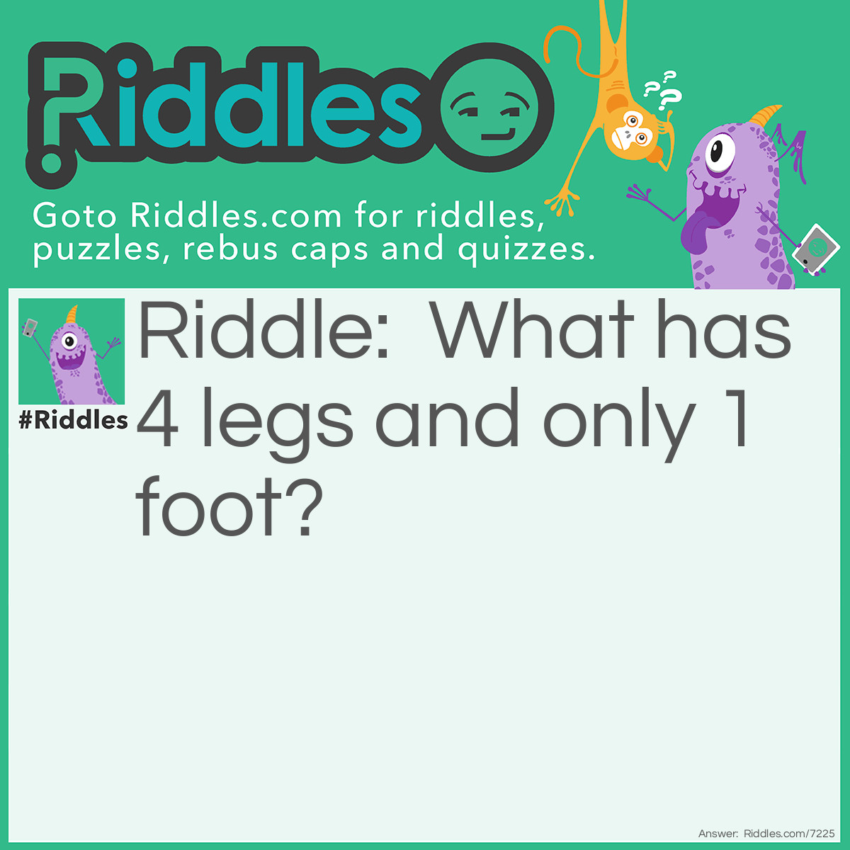 Riddle: What has 4 legs and only 1 foot? Answer: A Bed.