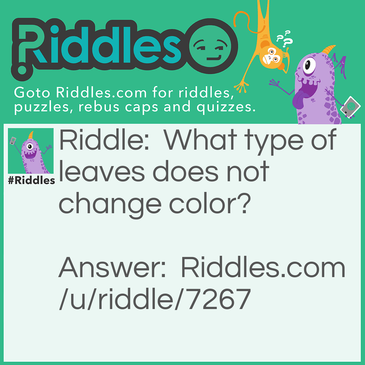 Riddle: What type of leaves does not change color? Answer: The Canadian flag.