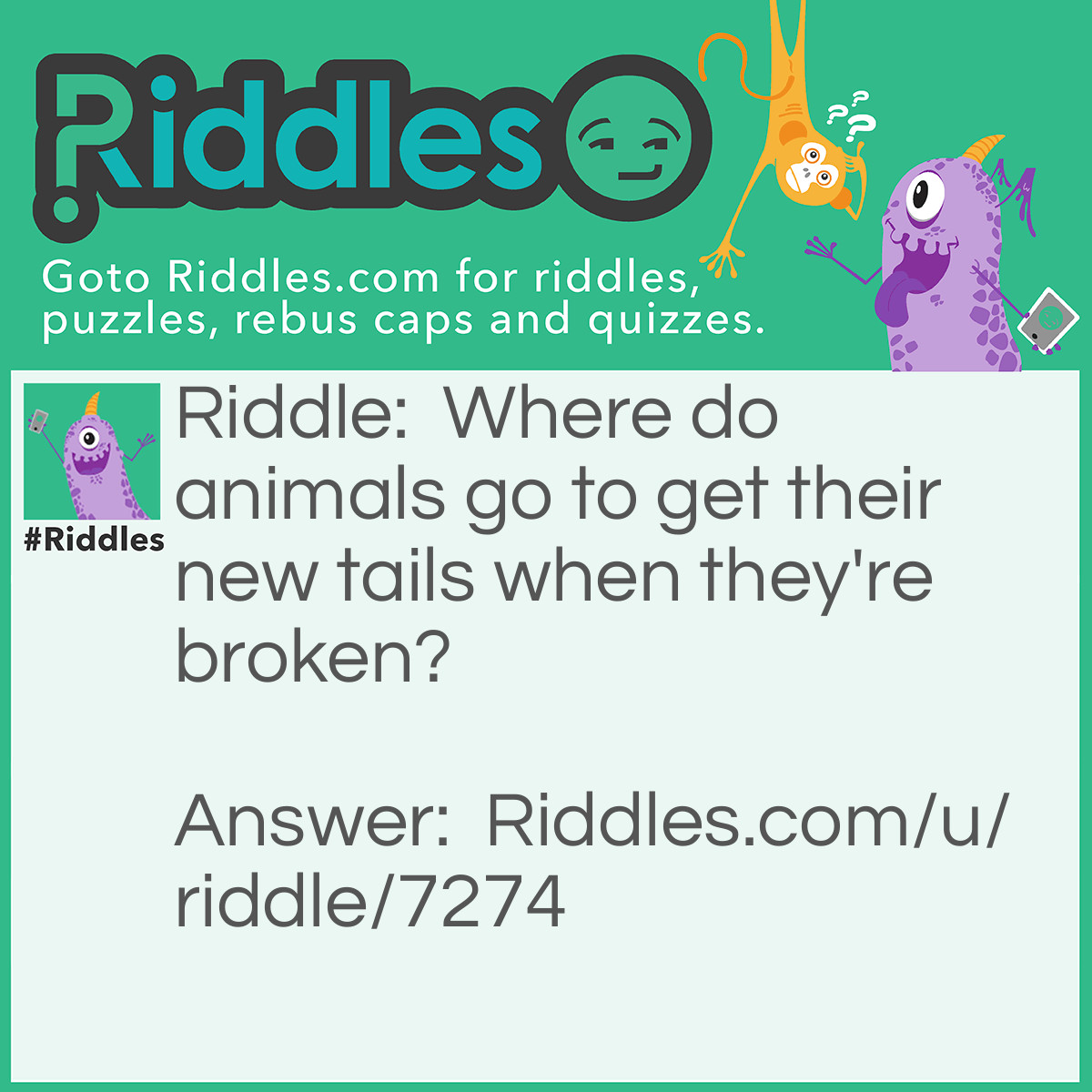 Riddle: Where do animals go to get their new tails when they're broken? Answer: Retail Shop.