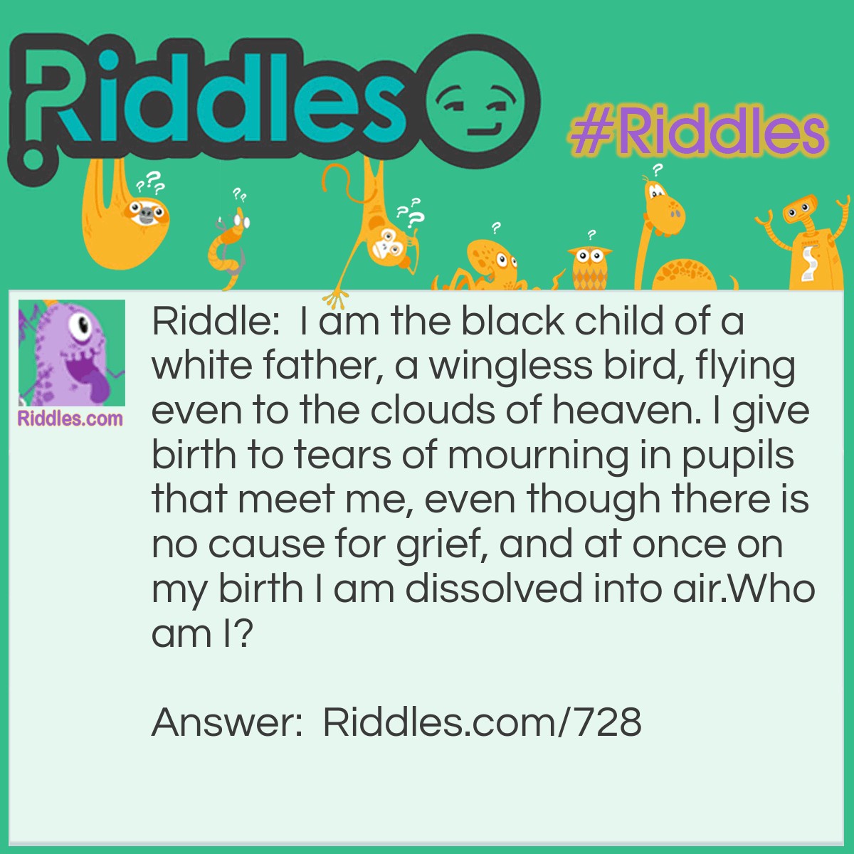 Riddle: I am the black child of a white father, a wingless bird, flying even to the clouds of heaven. I give birth to tears of mourning in pupils that meet me, even though there is no cause for grief, and at once on my birth, I am dissolved into air.
Who am I? Answer: I am Smoke.