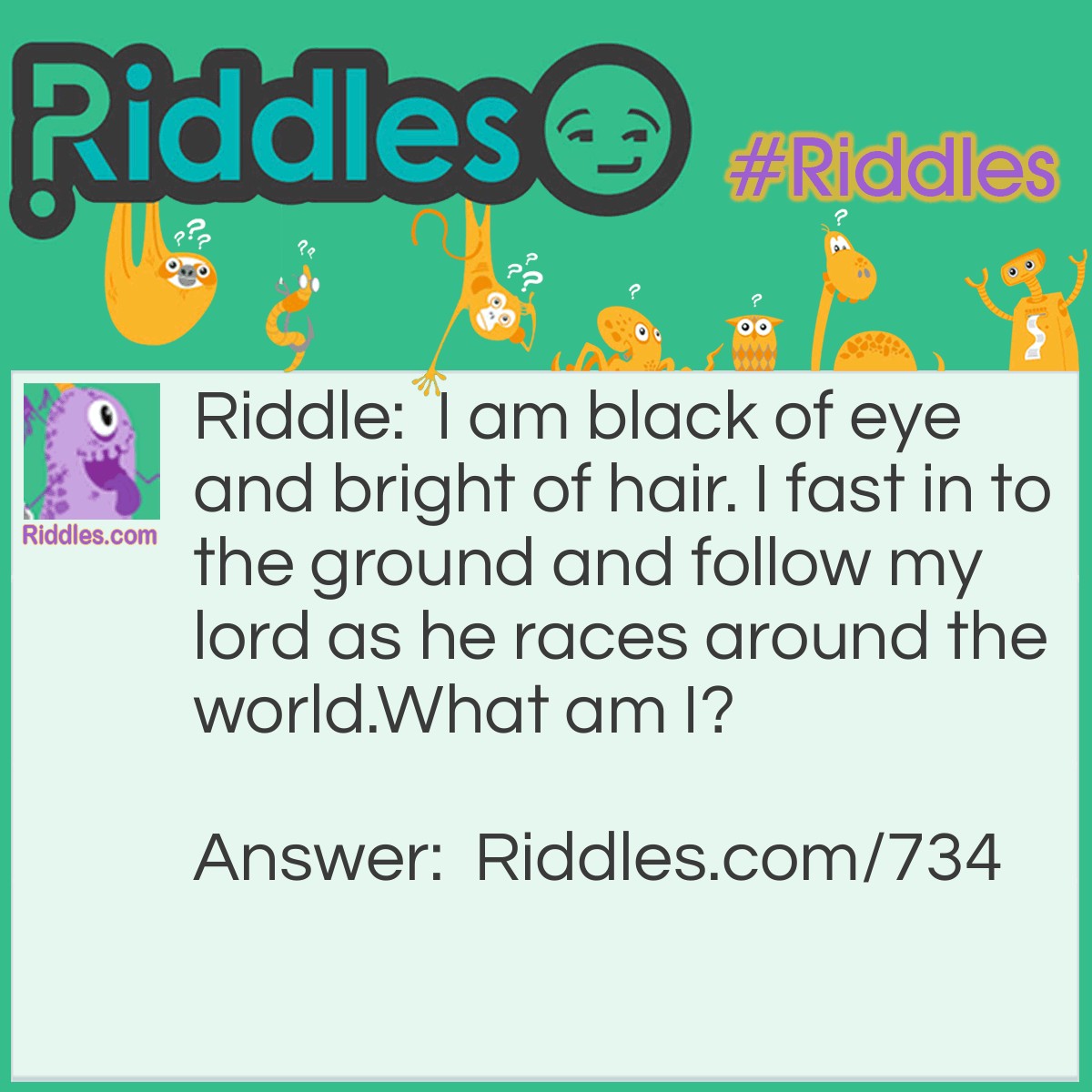 Riddle: I am black of eye and bright of hair. I fast in to the ground and follow my lord as he races around the world.
What am I? Answer: I'm a Sunflower.