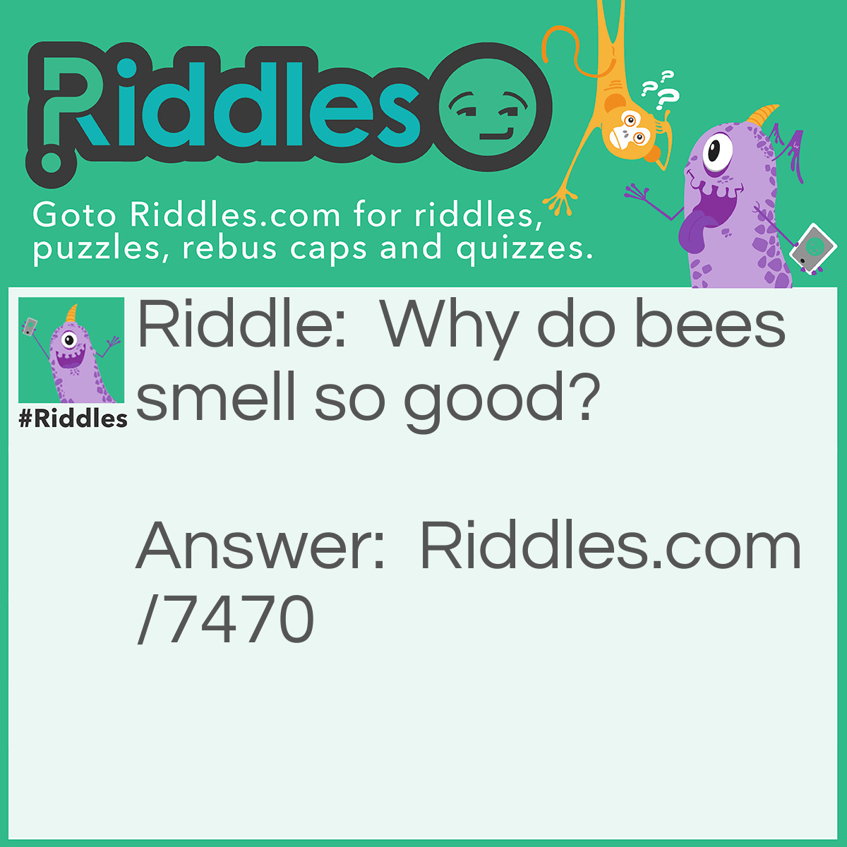 Riddle: Why do bees smell so good? Answer: They wear bee-odrant.