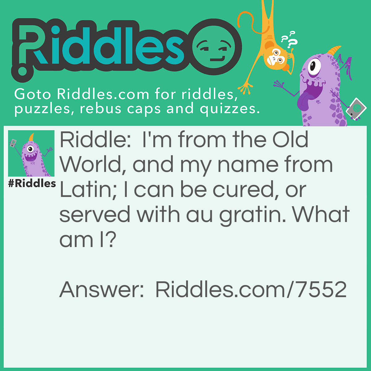 Riddle: I'm from the Old World, and my name from Latin; I can be cured, or served with au gratin. What am I? Answer: Beef.