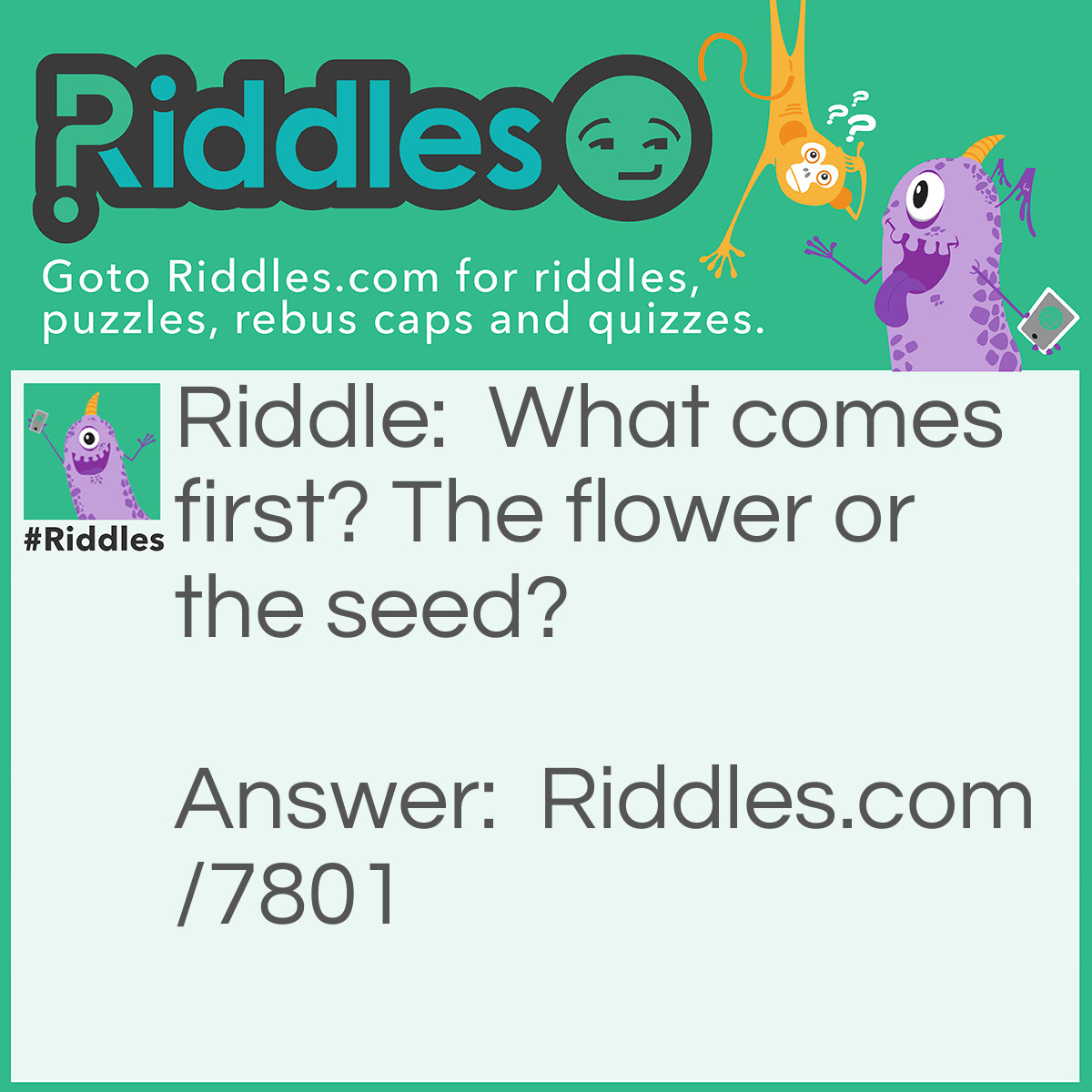Riddle: What comes first? The flower or the seed? Answer: write what you think in the comments bellow!
