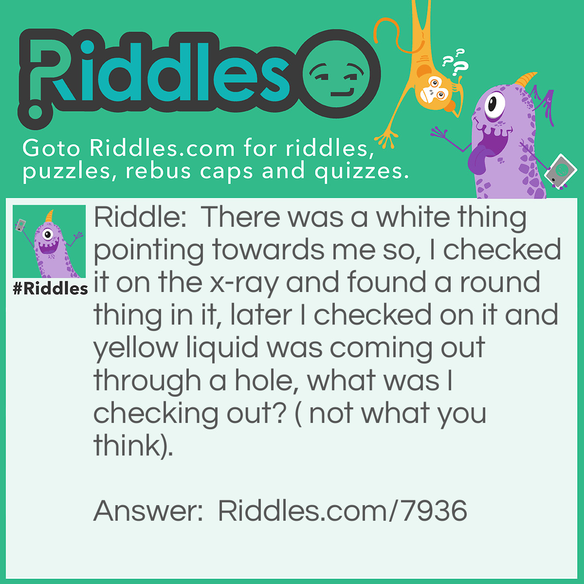 Riddle: There was a white thing pointing towards me so, I checked it on the x-ray and found a round thing in it, later I checked on it and yellow liquid was coming out through a hole, what was I checking out? ( not what you think). Answer: An egg.
