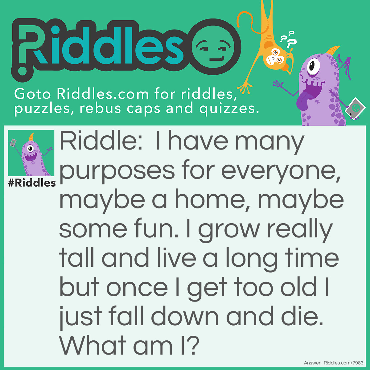 Riddle: I have many purposes for everyone, maybe a home, maybe some fun. I grow really tall and live a long time but once I get too old I just fall down and die. What am I? Answer: A tree.