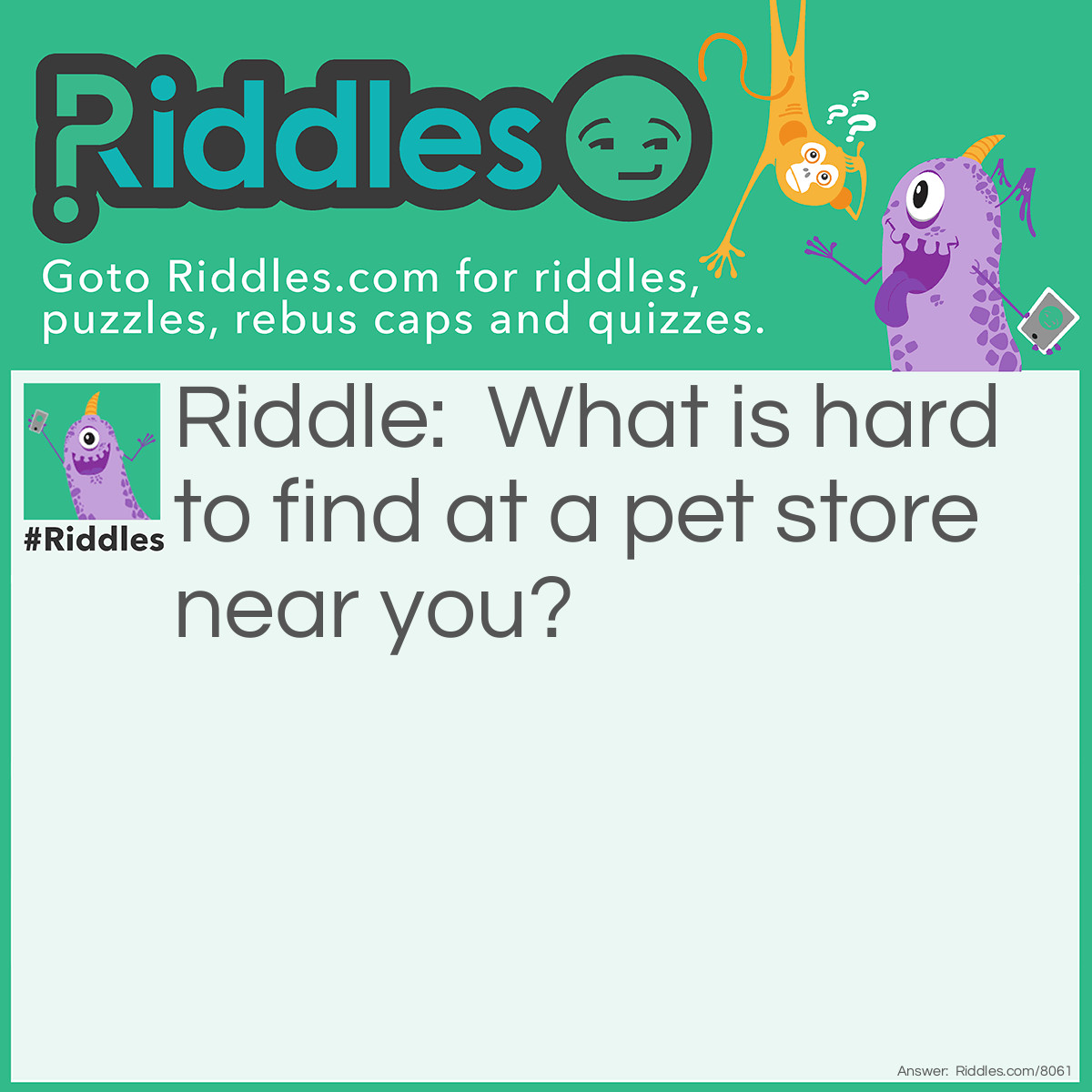Riddle: What is hard to find at a pet store near you? Answer: A hard to find pet!