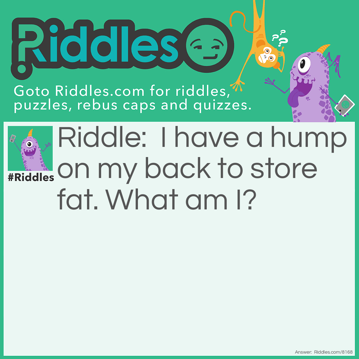 Riddle: I have a hump on my back to store fat. What am I? Answer: A camel.