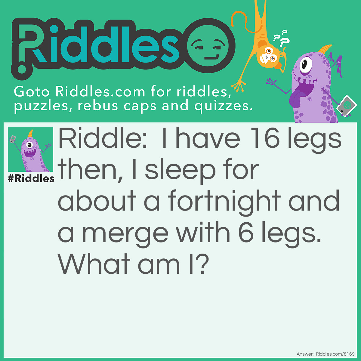 Riddle: I have 16 legs then, I sleep for about a fortnight and a merge with 6 legs. What am I? Answer: A Butterfly