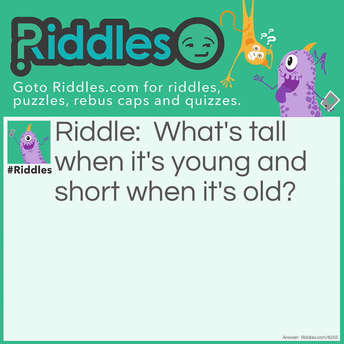 Riddle: What's tall when it's young and short when it's old? Answer: A Candle.