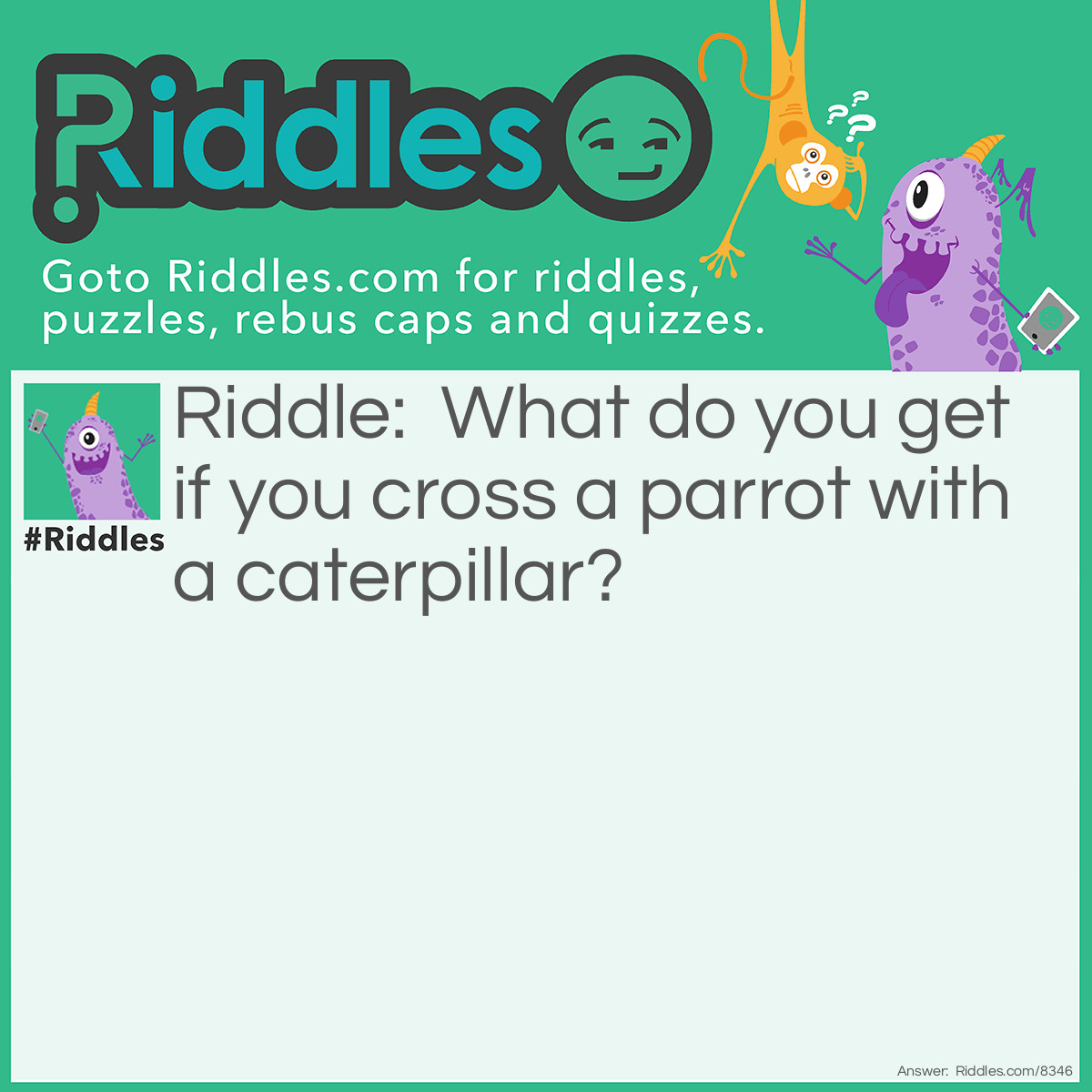 Riddle: What do you get if you cross a parrot with a caterpillar? Answer: A walkie-talkie! Because parrots talk and caterpillars walk! HA!