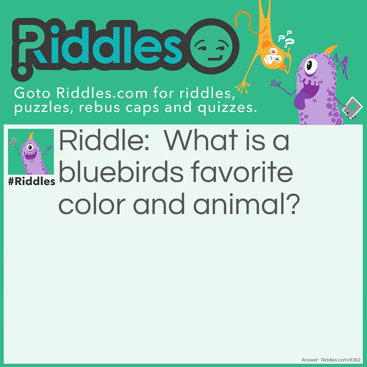 Riddle: What is a bluebirds favorite color and animal? Answer: This is impossible. There is no way to know what a bird thinks.