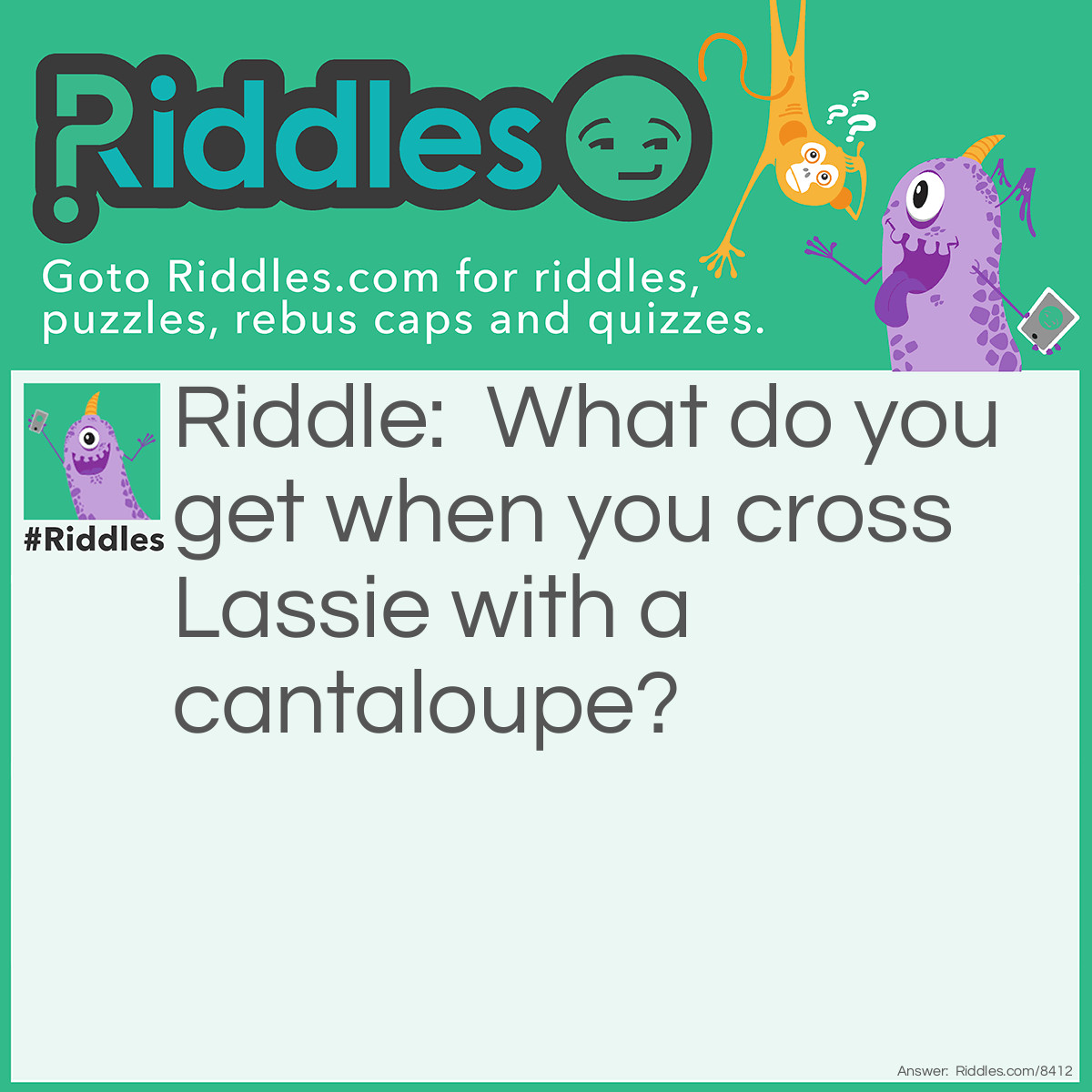 Riddle: What do you get when you cross Lassie with a cantaloupe? Answer: A Melancholy Baby!