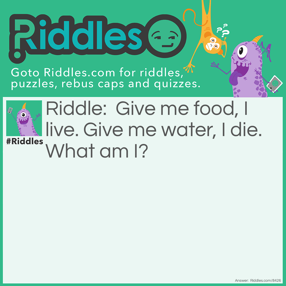 Riddle: Give me food, I live. Give me water, I die. What am I? Answer: Fire.