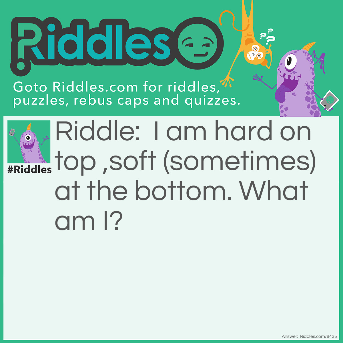 Riddle: I am hard on top ,soft (sometimes) at the bottom. What am I? Answer: A Turtle.
