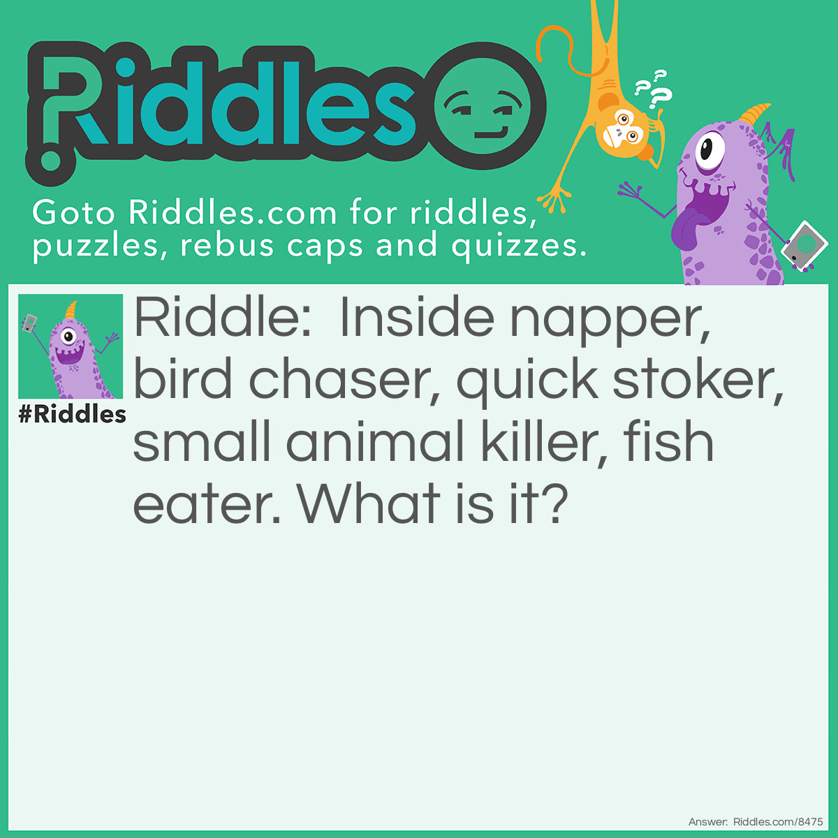 Riddle: Inside napper, bird chaser, quick stoker, small animal killer, fish eater. What is it? Answer: A cat.