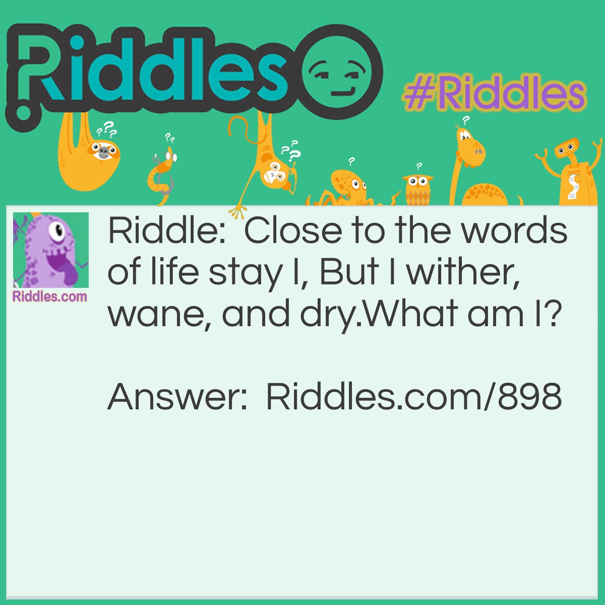 Riddle: Close to the words of life stay I, But I wither, wane, and dry.
What am I? Answer: A Bible-pressed flower.