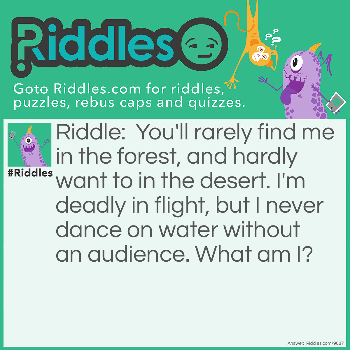 Riddle: You'll rarely find me in the forest, and hardly want to in the desert. I'm deadly in flight, but I never dance on water without an audience. What am I? Answer: Skipping Stone.