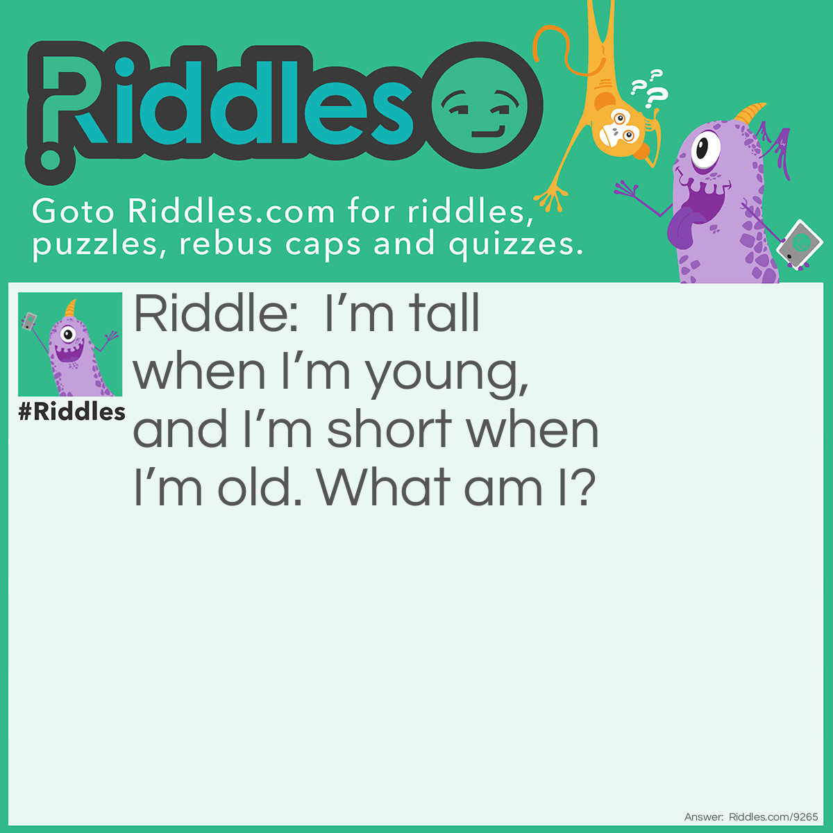 Riddle: I'm tall when I'm young, and I'm short when I'm old. What am I? Answer: A candle
