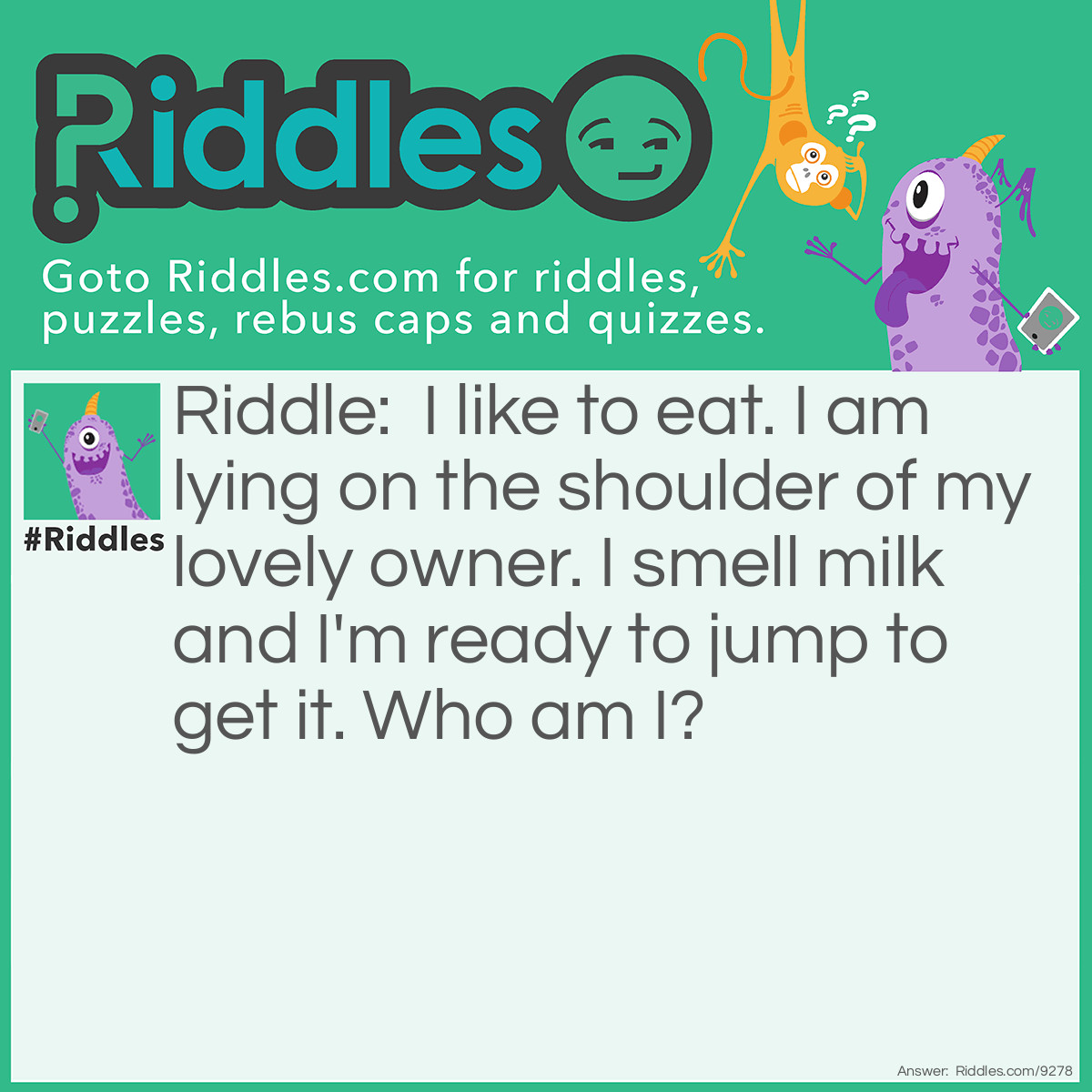 Riddle: I like to eat. I am lying on the shoulder of my lovely owner. I smell milk and I'm ready to jump to get it. Who am I? Answer: Kitten.