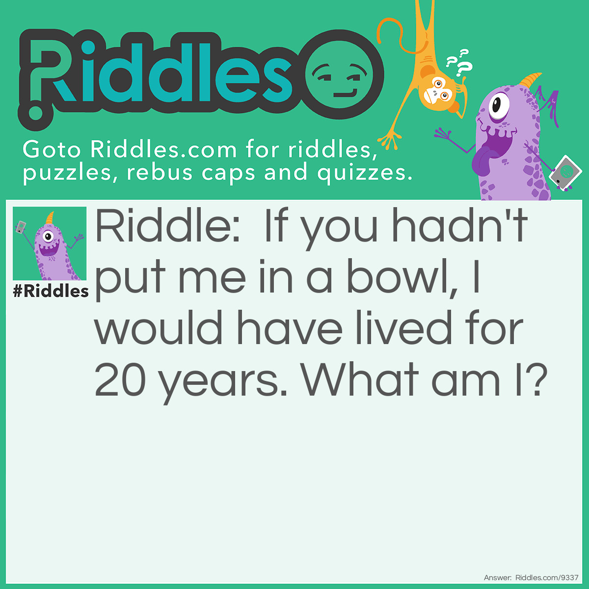 Riddle: If you hadn't put me in a bowl, I would have lived for 20 years. What am I? Answer: I'm your goldfish, you monster.