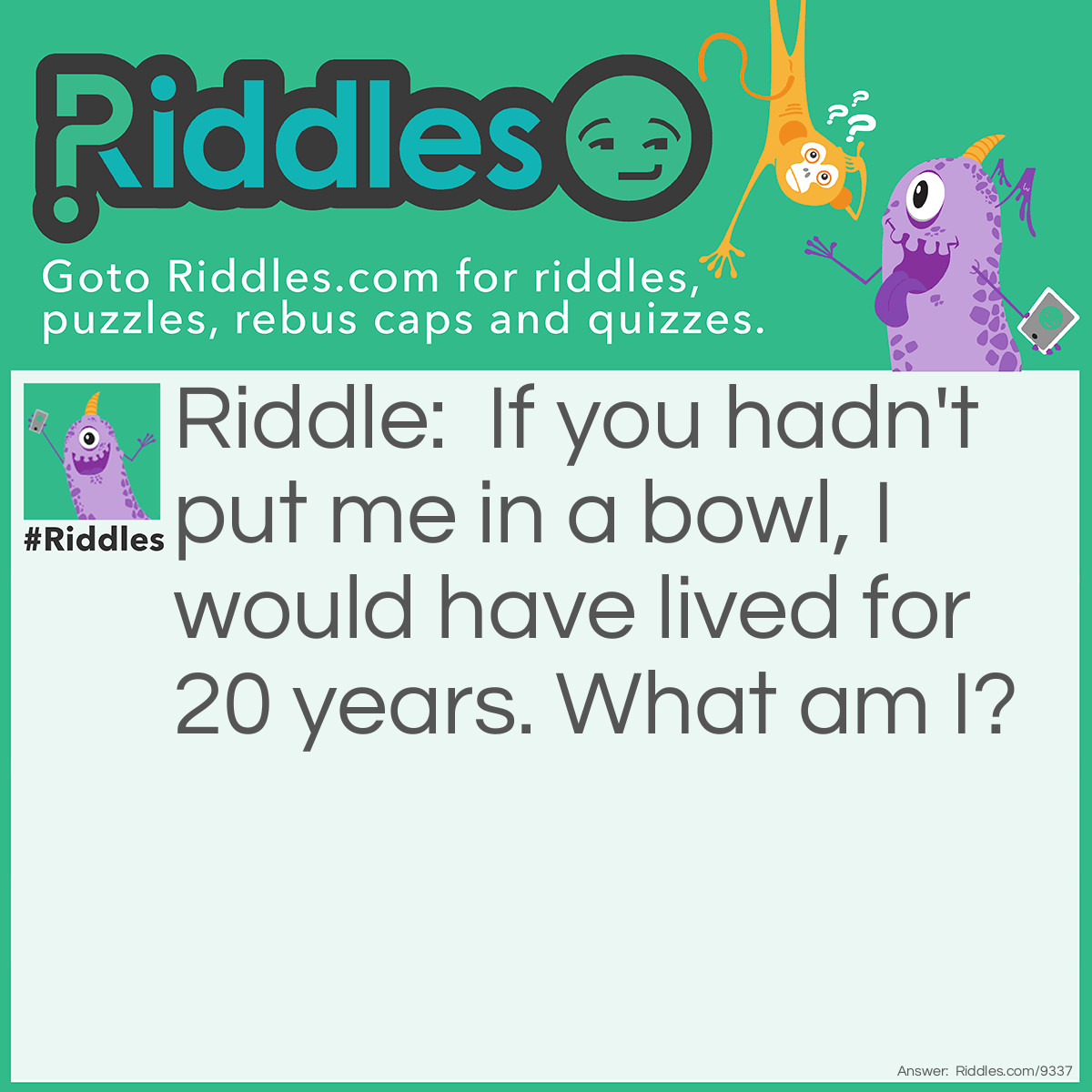 Riddle: If you hadn't put me in a bowl, I would have lived for 20 years. What am I? Answer: I'm your goldfish.