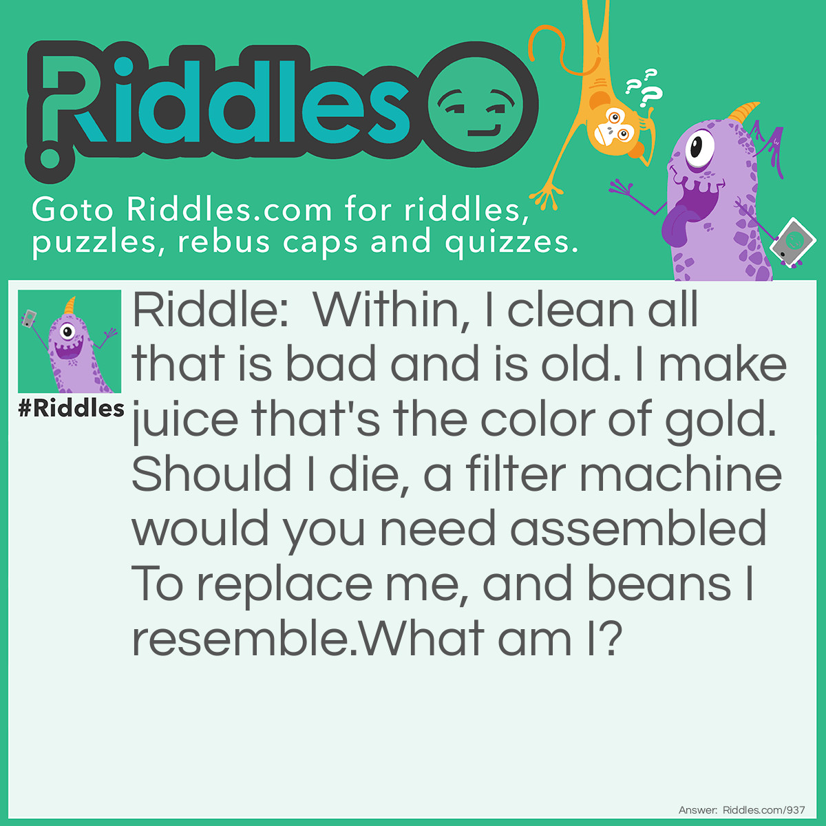 Riddle: Within, I clean all that is bad and old. I make juice that's the color of gold. Should I die, a filter machine would you need to assemble to replace me, and a bean I resemble... What am I? Answer: A kidney.