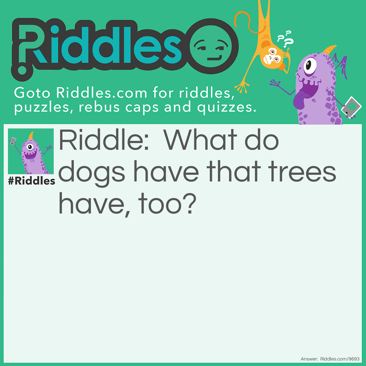 Riddle: What do dogs have that trees have, too? Answer: Bark