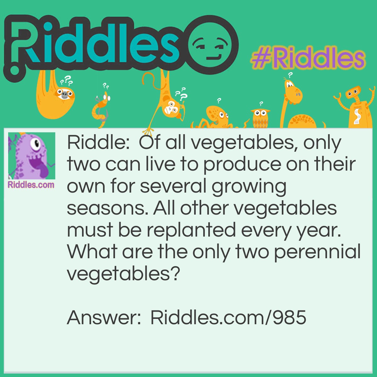 Riddle: Of all vegetables, only two can live to produce on their own for several growing seasons. All other vegetables must be replanted every year. What are the only two perennial vegetables? Answer: Asparagus and rhubarb.