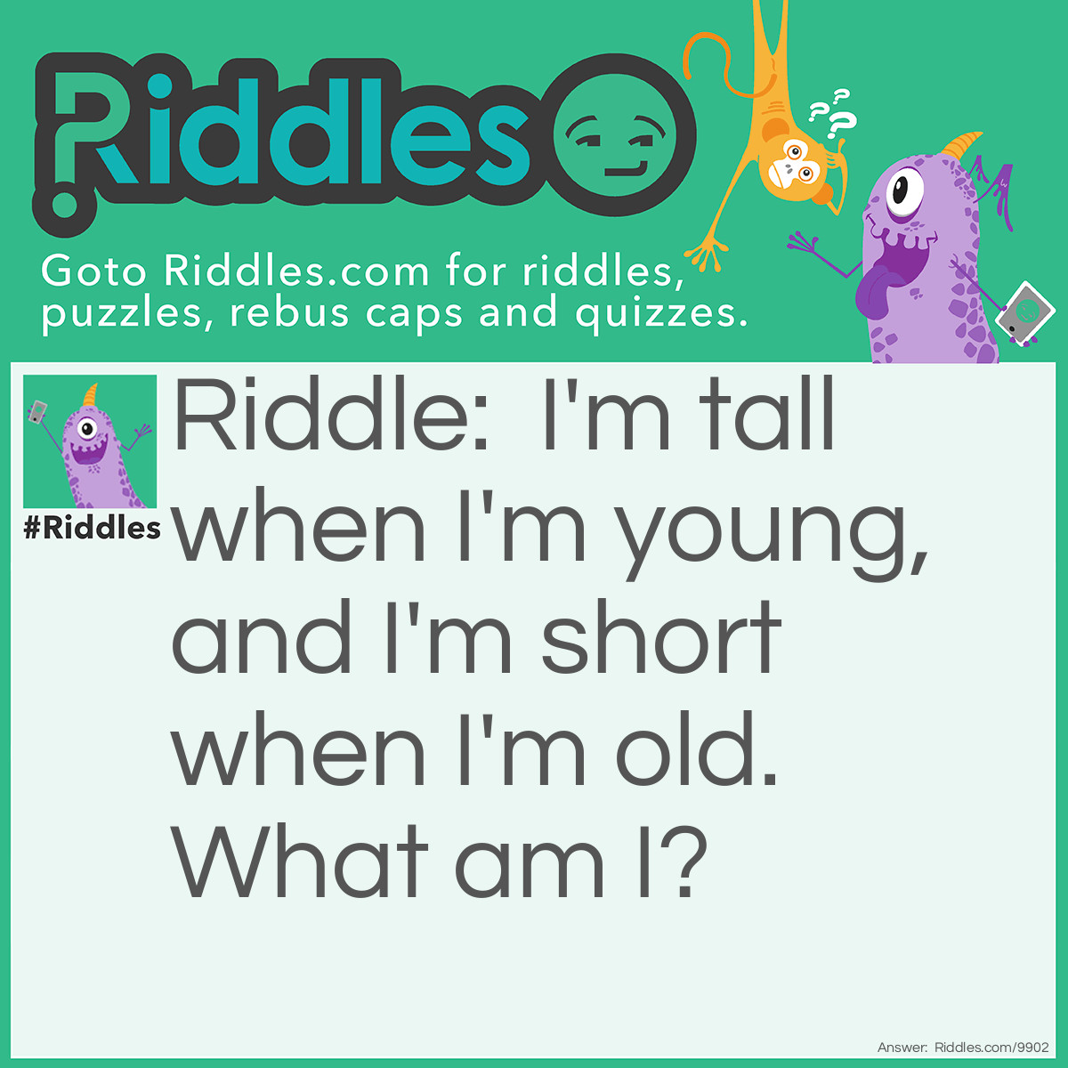 Riddle: I'm tall when I'm young, and I'm short when I'm old. What am I? Answer: A candle.