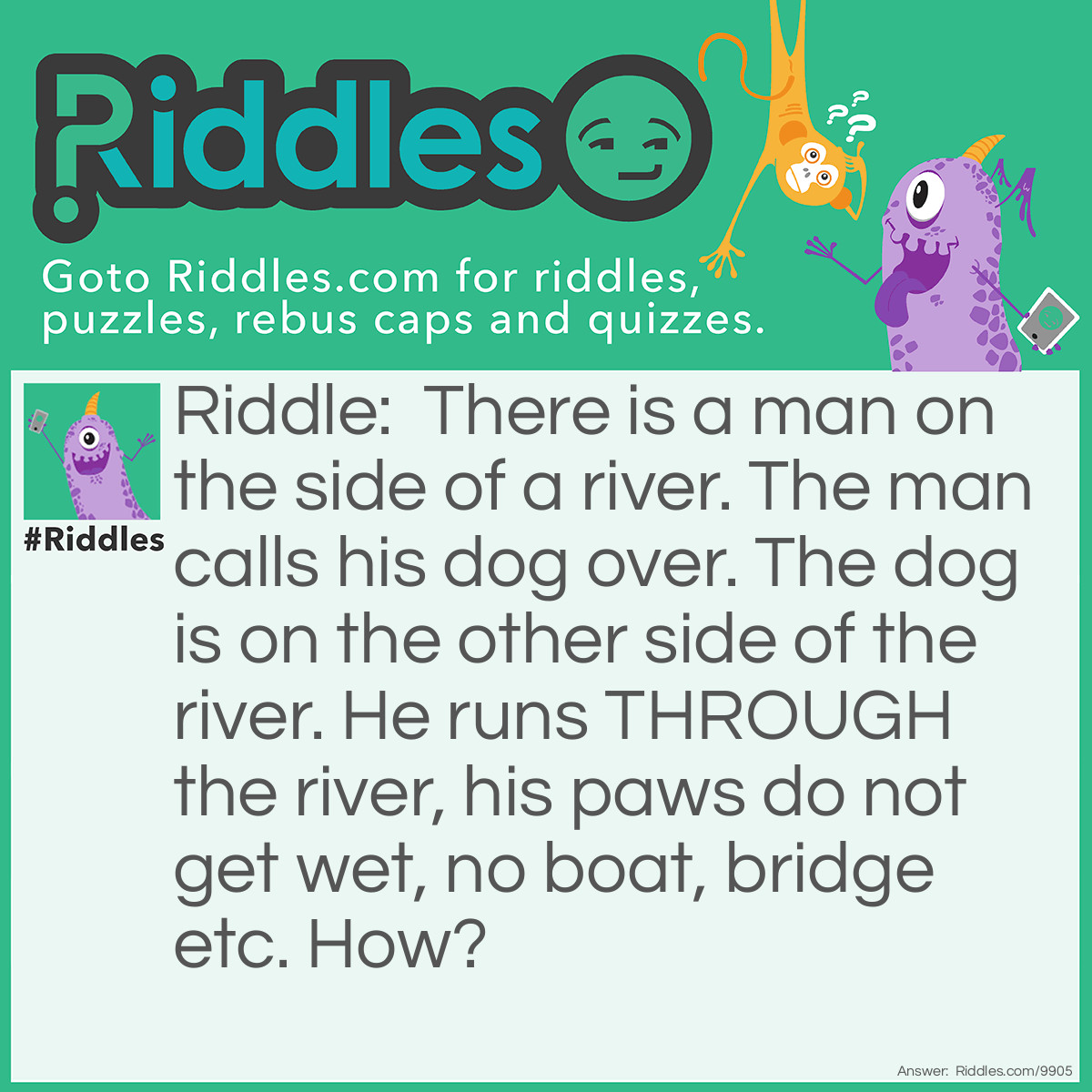 Riddle: There is a man on the side of a river. The man calls his dog over. The dog is on the other side of the river. He runs THROUGH the river, his paws do not get wet, no boat, bridge etc. How? Answer: The river was frozen.