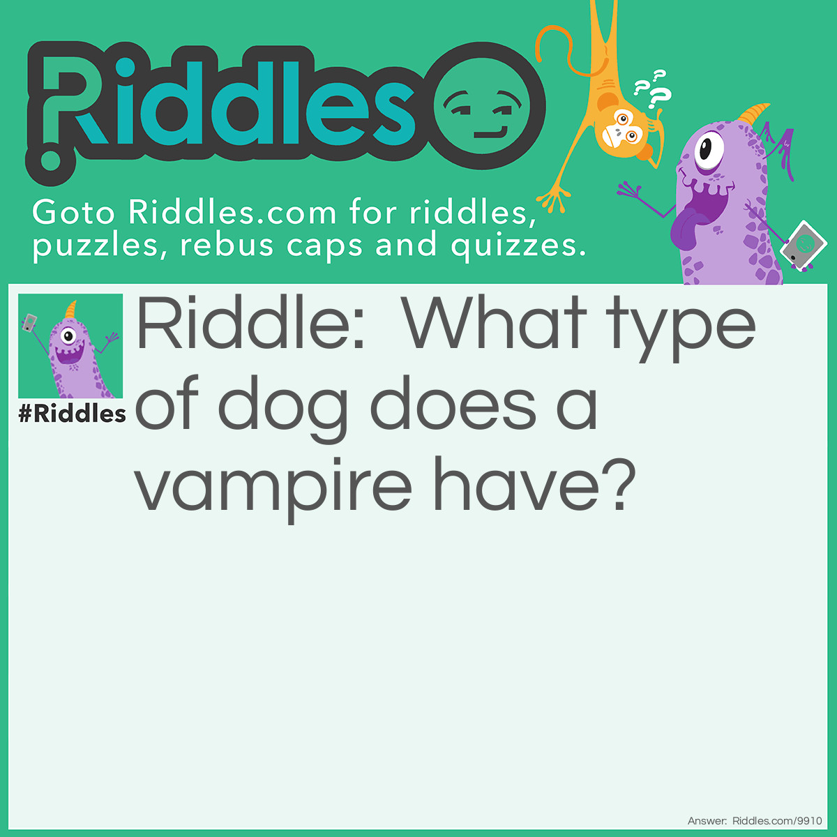 Riddle: What type of dog does a vampire have? Answer: A Bloodhound!