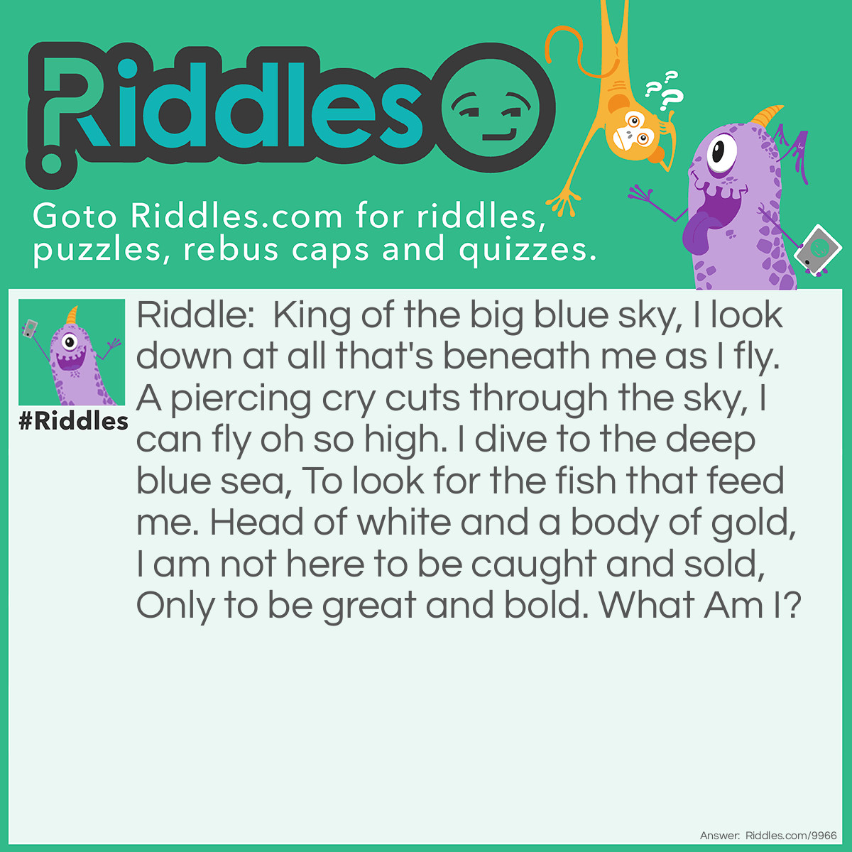 Riddle: King of the big blue sky, I look down at all that's beneath me as I fly. A piercing cry cuts through the sky, I can fly oh so high. I dive to the deep blue sea, To look for the fish that feed me. Head of white and a body of gold, I am not here to be caught and sold, Only to be great and bold. What Am I? Answer: I'm a bald eagle