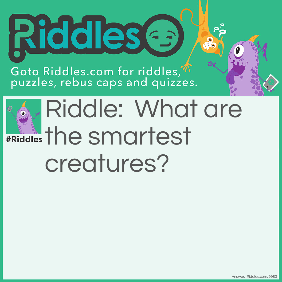 Riddle: What are the smartest creatures? Answer: Bookworms.