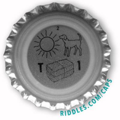 Lucky Beer Bottle Cap #2 series 1 Riddles.com/caps