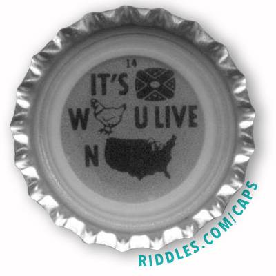 Lucky Beer Bottle Cap #14 series 1 Riddles.com/caps