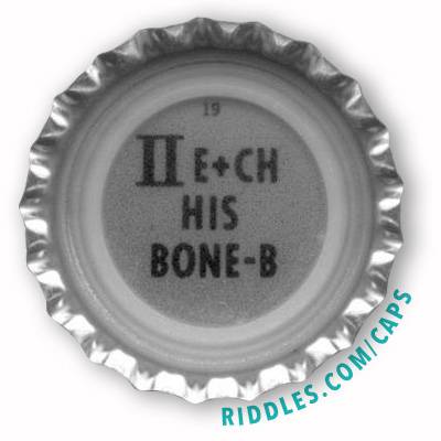 Lucky Beer Bottle Cap #19 series 1 Riddles.com/caps